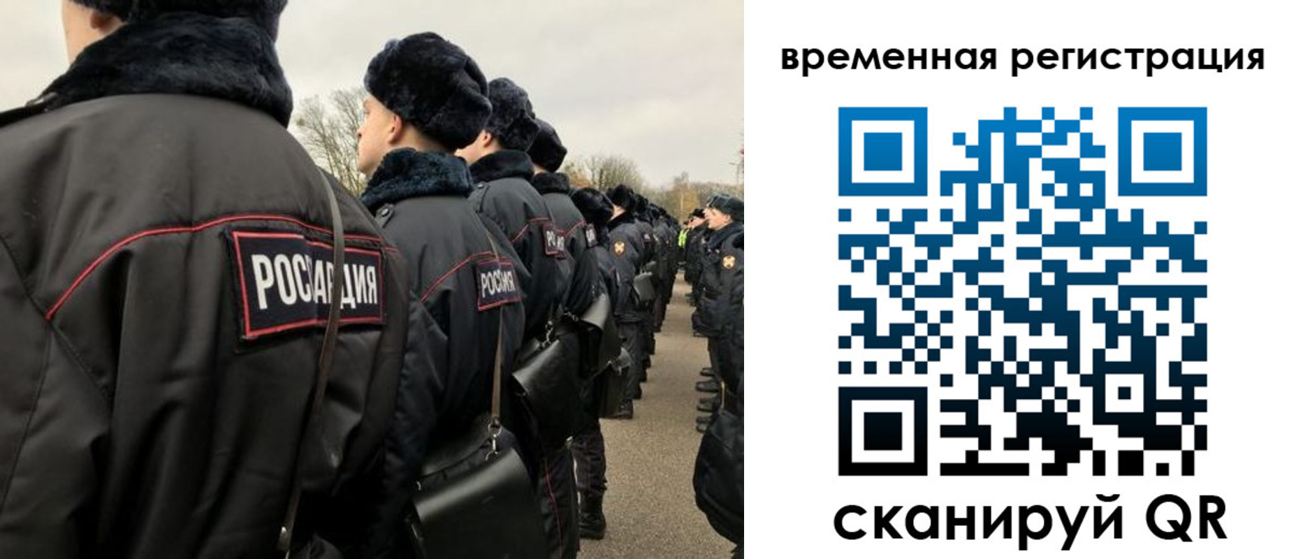 прописка гарантия в Кохме